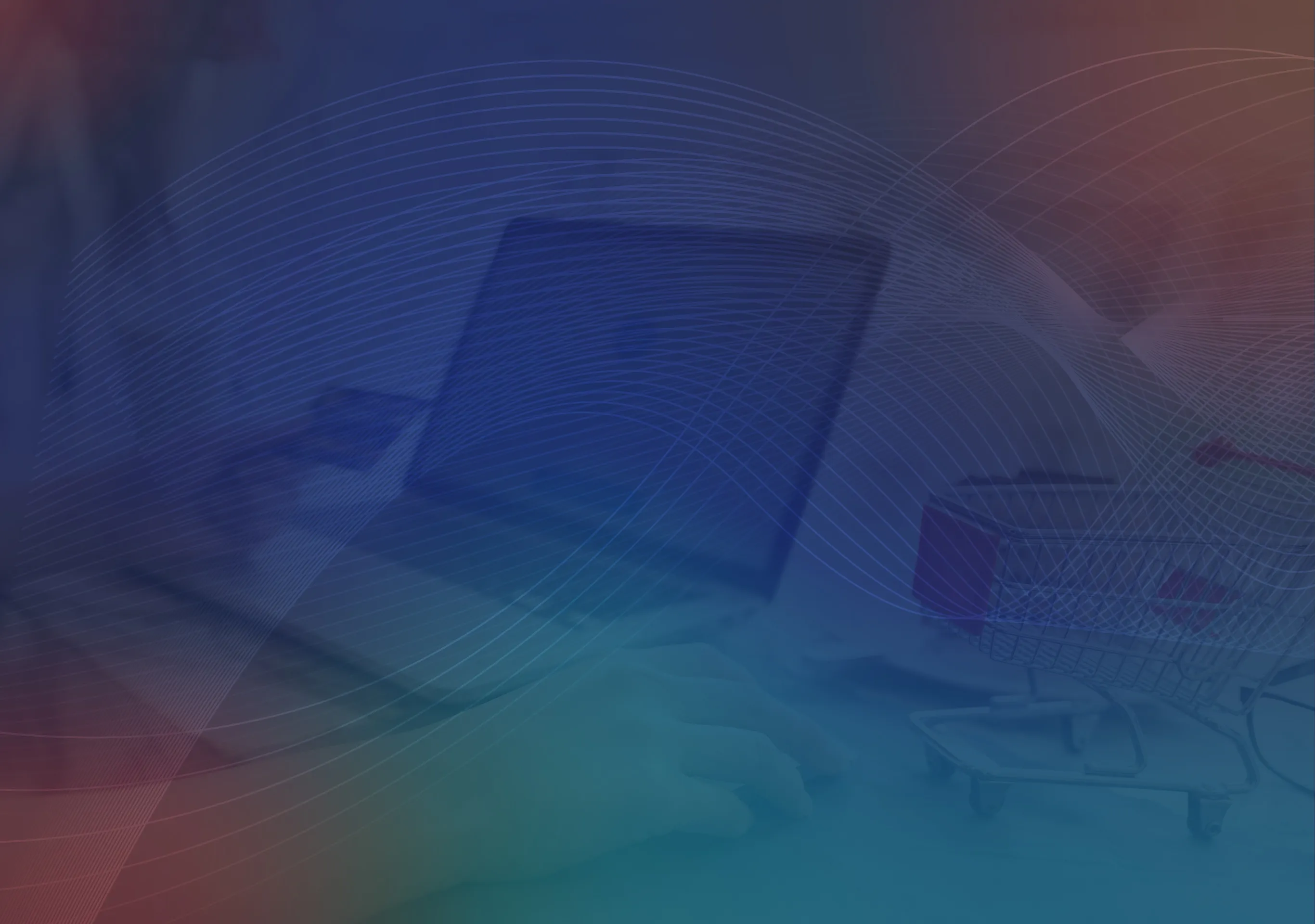 Get Your Free Ecommerce Assessment